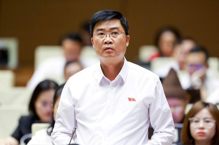 Đại biểu Nguyễn Văn Lịch phát biểu