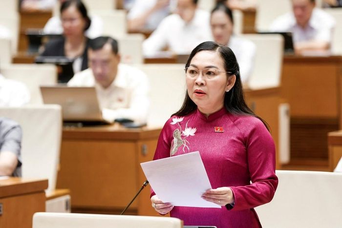 Đại biểu Lý Anh Thư phát biểu