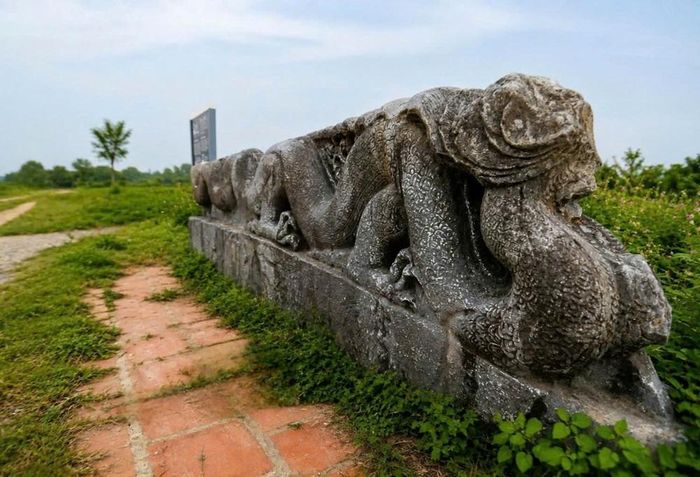 Rồng đá bên trong khu di sản Thành nhà Hồ được lưu giữ, bảo quản, góp phần giới thiệu những giá trị kiến trúc và nghệ thuật điêu khắc của di sản