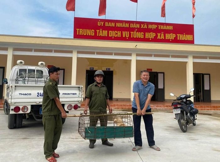 Đợt ra quân nhằm tăng cường hiệu quả công tác quản lý vật nuôi, góp phần bảo đảm an toàn cho người dân và du khách