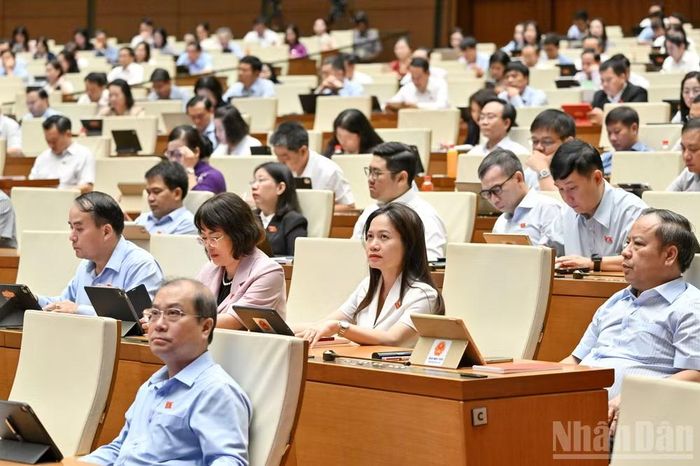 Các đại biểu dự phiên họp sáng 8/8. (Ảnh: THỦY NGUYÊN)