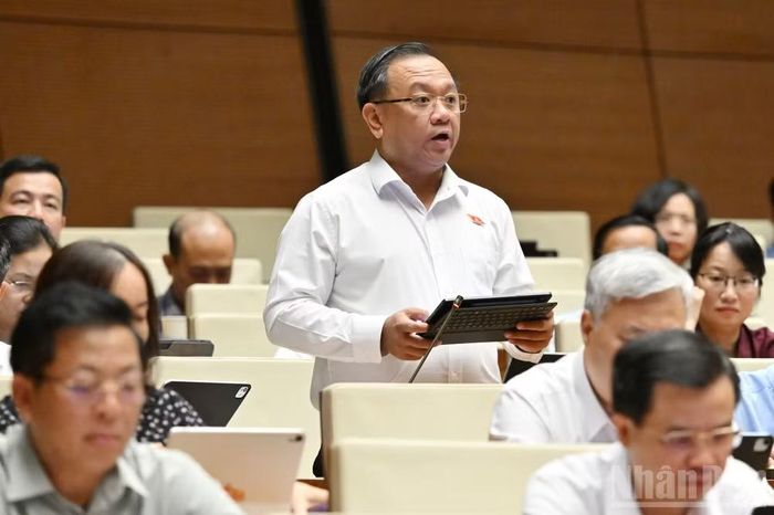Đại biểu Nguyễn Thành Trung (Đoàn Thành phố Hồ Chí Minh).