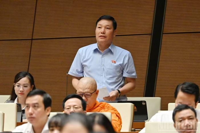 Đại biểu Phạm Hùng Hưng (Đoàn Phú Thọ).