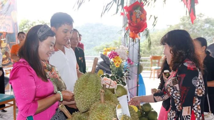 Sầu riêng Đa Mi-La Dạ khẳng định được vị thế vượt trội trên thị trường. (Ảnh: QUÝ NGỌC)