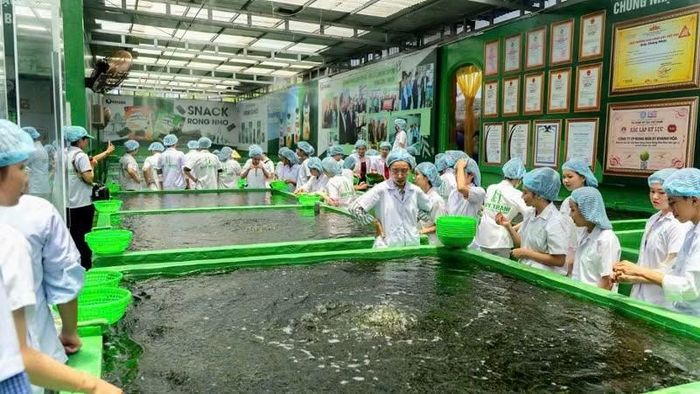 Khoảng cách lớn nhất hiện nay không còn nằm ở khả năng tiếp cận công nghệ mà nằm ở năng lực chuyển hóa công nghệ thành giá trị thực tế. (Ảnh: ĐỖ BẢO)