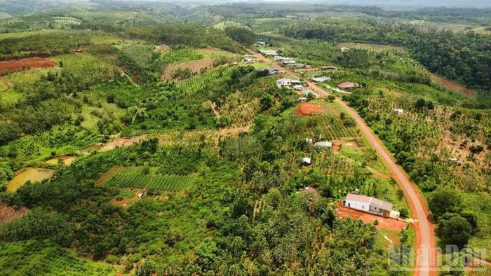 Việc xác định giá đất cụ thể cũng đang gặp khó khăn do thiếu đơn vị tư vấn có năng lực thẩm định.