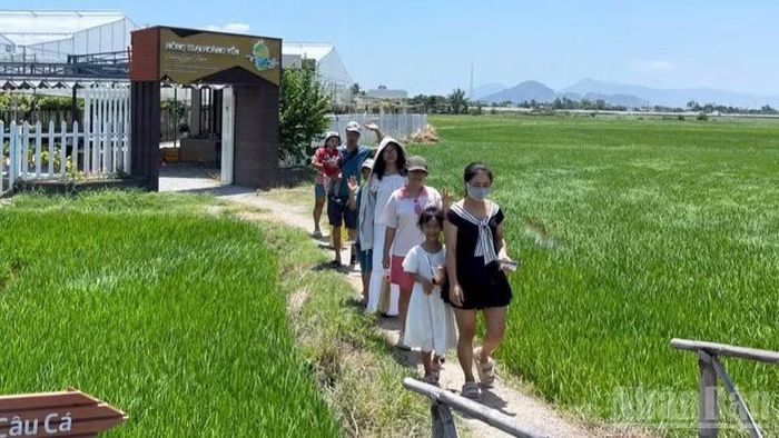 Ninh Phước mở rộng không gian phát triển mới, phát huy tối đa tiềm năng, đánh thức các nguồn lực và tạo động lực tăng trưởng mạnh mẽ hơn từ một vùng nông nghiệp hướng tới một đô thị năng động, văn minh.