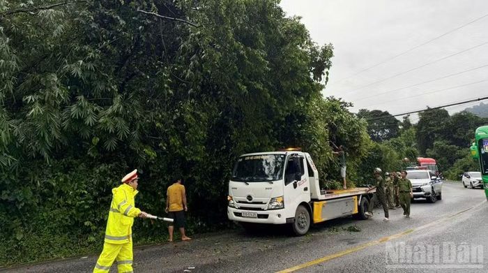 Lực lượng chức năng địa phương có mặt kịp thời để điều tiết giao thông và xử lý hiện trường cây ngã đổ.