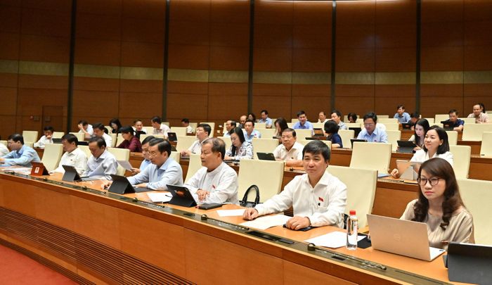 Các đại biểu tham dự phiên họp. Ảnh: TRỌNG HẢI 