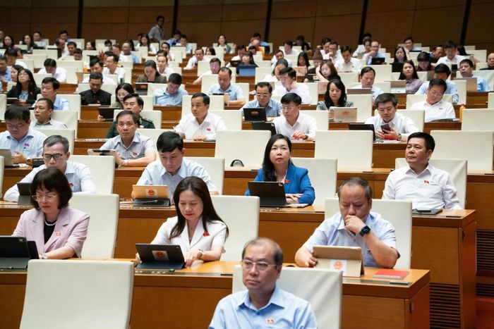 Các đại biểu tham dự phiên họp.