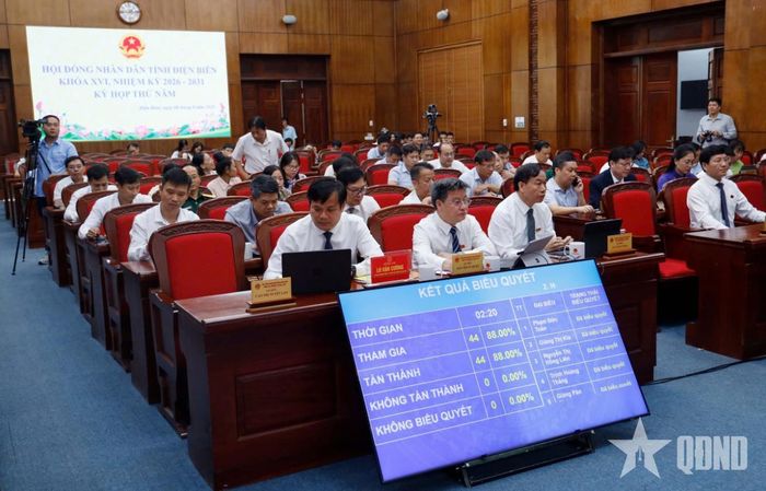 Các đại biểu tham dự hội nghị.