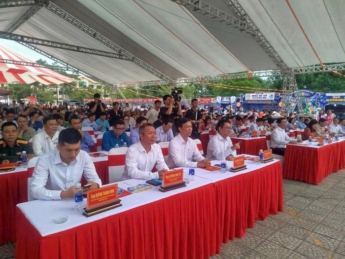 Phó Chủ tịch UBND thành phố Đà Nẵng Nguyễn Thị Anh Thi phát biểu chỉ đạo tại Ngày hội.