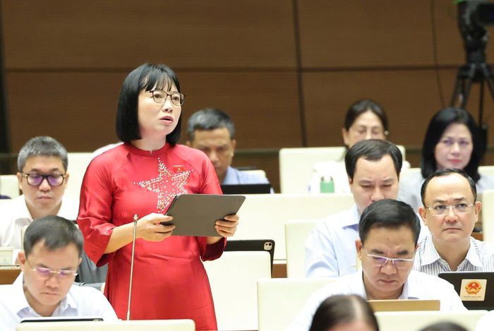 ĐB Nguyễn Thị Việt Nga (Hải Phòng) phát biểu tại hội trường. Ảnh: QUANG PHÚC