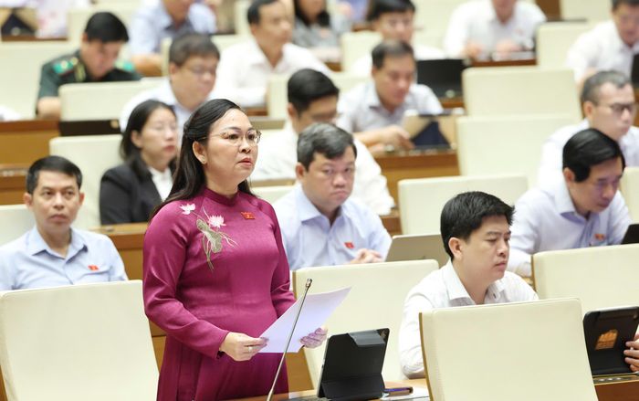 ĐB Lý Anh Thư (An Giang) phát biểu tại hội trường. Ảnh: QUANG PHÚC