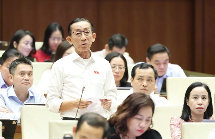  ĐB Trần Hoàng Ngân (TPHCM). Ảnh: QUANG PHÚC 