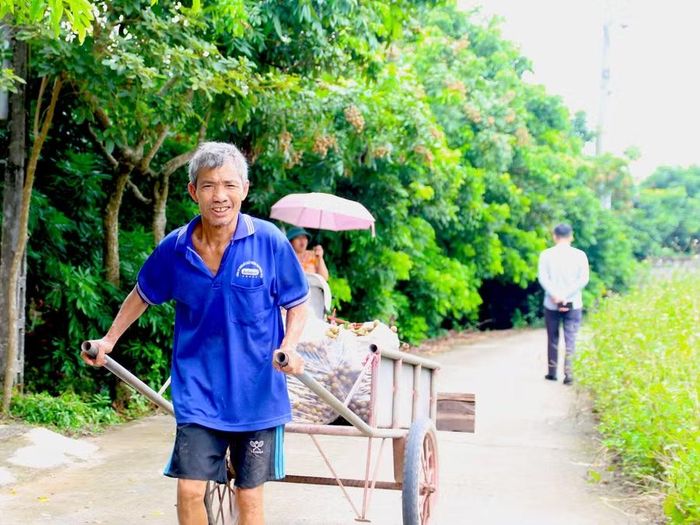 Dù có được mùa quả hay không, nhưng mùa nhãn chín hằng năm vẫn luôn mang đến cho vùng đất Hưng Yên nguồn lợi không nhỏ về kinh tế và những giá trị tiềm năng về phát triển du lịch tham quan, trải nghiệm nông nghiệp.