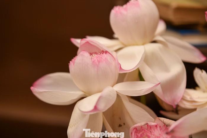 Những bình sen hồng, trắng và lily kép được bố trí dày ở tầng hai.