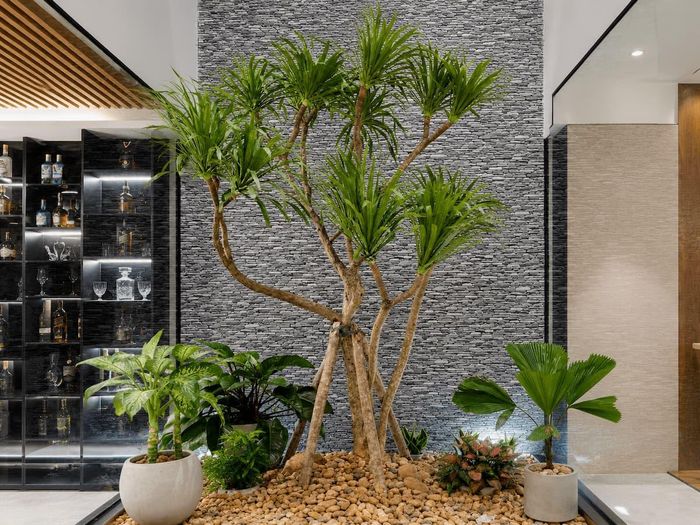 Phát tài núi tượng trưng cho sự phát đạt.