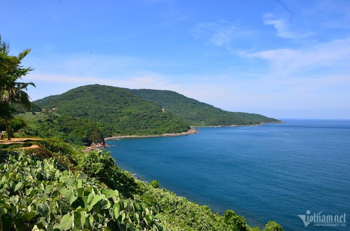 Khu vực bán đảo Sơn Trà.