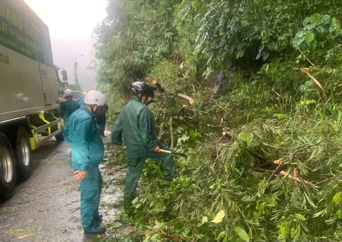 Lực lượng dân quân cắt dọn cây rừng ngã đổ trên đèo Bảo Lộc sau mưa lớn. Ảnh: X.N