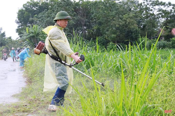 Các lực lượng tập trung phát quang cây cối, cắt cỏ, nạo vét đất cát, bù lề đường, thu gom rác thải, vệ sinh môi trường, đồng thời phối hợp giải tỏa cây cối khuất tầm nhìn, góp phần bảo đảm hành lang ATGT.
