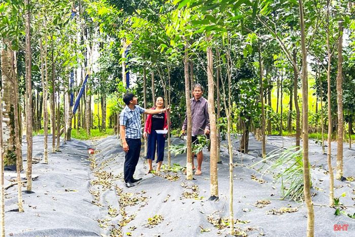Cây dó bầu thuộc phạm vi quản lý của Công ước về thương mại quốc tế các loài động, thực vật hoang dã nguy cấp (Công ước CITES).