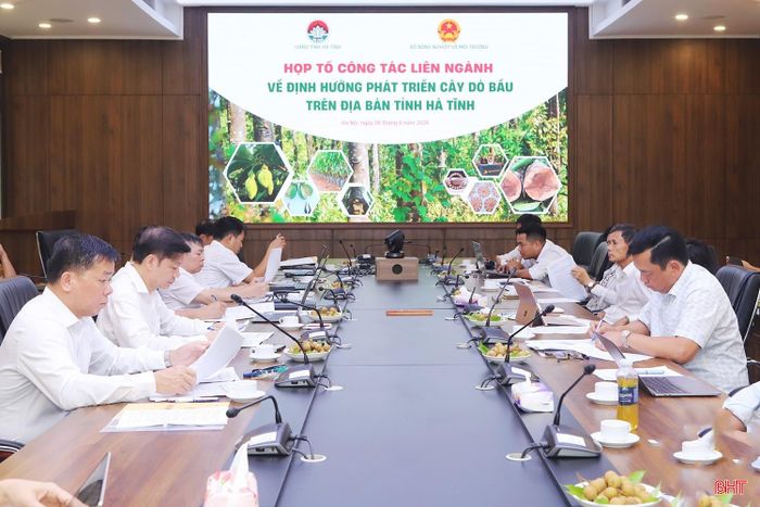 Tổ công tác liên ngành hỗ trợ phát triển cây dó bầu trên địa bàn tỉnh Hà Tĩnh trao đổi một số nội dung với các cơ quan trung ương, chuyên gia, nhà khoa học.