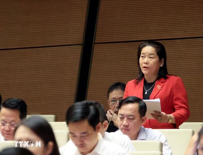 Đại biểu Quốc hội thành phố Cần Thơ Lê Thị Thanh Lam phát biểu. (Ảnh: Tuấn Anh/TTXVN)