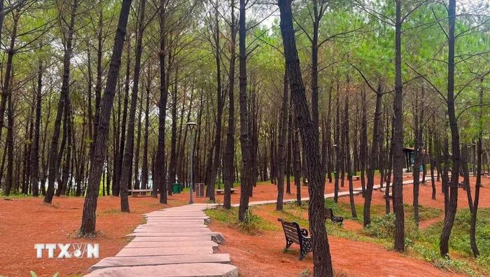 Sau khi được chỉnh trang, Đồi có thêm các lối đi bộ và không gian công cộng phục vụ người dân cùng du khách. (Ảnh: Văn Dũng/TTXVN)
