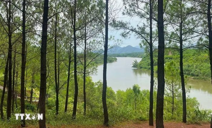 Từ trên đỉnh đồi phóng tầm mắt ra xa có thể ngắm trọn vẹn dòng Hương Giang uốn lượn qua những mảng xanh mướt của núi rừng. (Ảnh: Văn Dũng/TTXVN)