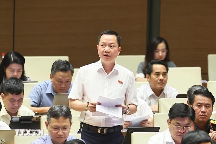 Đại biểu Quốc hội thành phố Đồng Nai Trịnh Xuân An tham gia góp ý về Dự thảo Luật Dầu khí (sửa đổi). (Ảnh: Doãn Tấn/TTXVN)