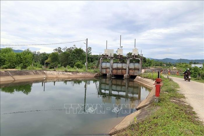 Một vị trí cống chính trên kênh thủy lợi Bắc Phú Ninh giúp điều tiết nguồn nước tỏa đi các hướng.