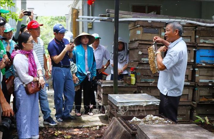 Đoàn tham quan điểm du lịch nông nghiệp trên địa bàn xã An Thạnh.