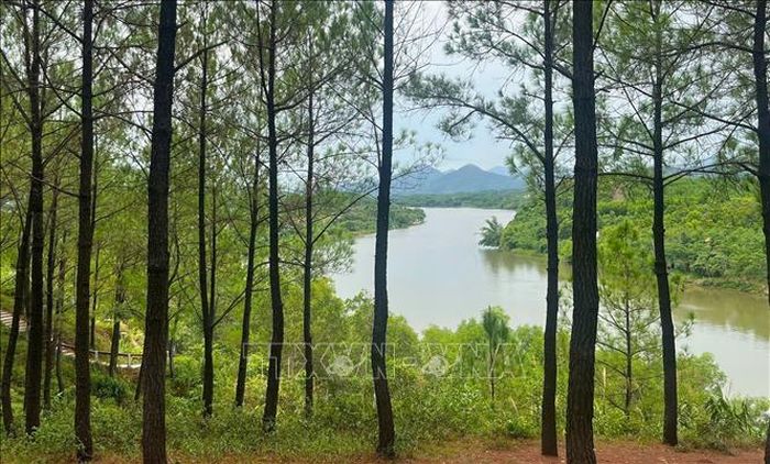 Từ trên đỉnh đồi phóng tầm mắt ra xa có thể ngắm trọn vẹn dòng Hương Giang uốn lượn qua những mảng xanh mướt của núi rừng.
