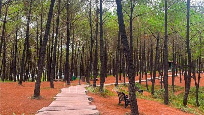 Sau khi được chỉnh trang, Đồi có thêm các lối đi bộ và không gian công cộng phục vụ người dân cùng du khách.