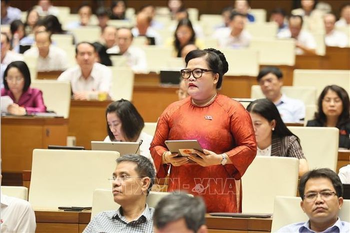 Đại biểu Quốc hội TP Huế Nguyễn Thị Sửu phát biểu. Ảnh: Doãn Tấn/TTXVN