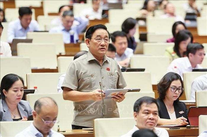 Đại biểu Quốc hội tỉnh Vĩnh Long Trần Quốc Tuấn phát biểu. Ảnh: Doãn Tấn/TTXVN