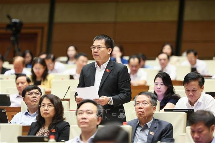 Đại biểu Quốc hội tỉnh Lâm Đồng Dương Khắc Mai phát biểu. Ảnh: Doãn Tấn/TTXVN