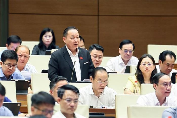 Đại biểu Quốc hội tỉnh Lào Cai Tráng A Dương phát biểu. Ảnh: Doãn Tấn/TTXVN