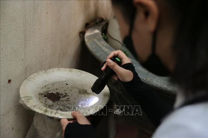 Ngày 8/8/2026, Trạm Y Tế phường Ba Đình đã thành lập 03 đoàn giám sát vệ sinh môi trường và công tác phòng dịch sốt xuất huyết tại ngõ 158 Ngọc Hà. Ảnh: Minh Quyết/TTXVN