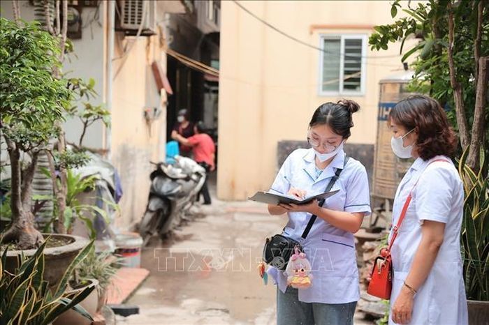 Qua giám sát tại các hộ gia đình đoàn kiểm tra phát hiện nhiều dụng cụ chứa nước như chậu cây cảnh, chậu cây thủy sinh, hòn non bộ có bọ gậy và muỗi. Ảnh: Minh Quyết/TTXVN