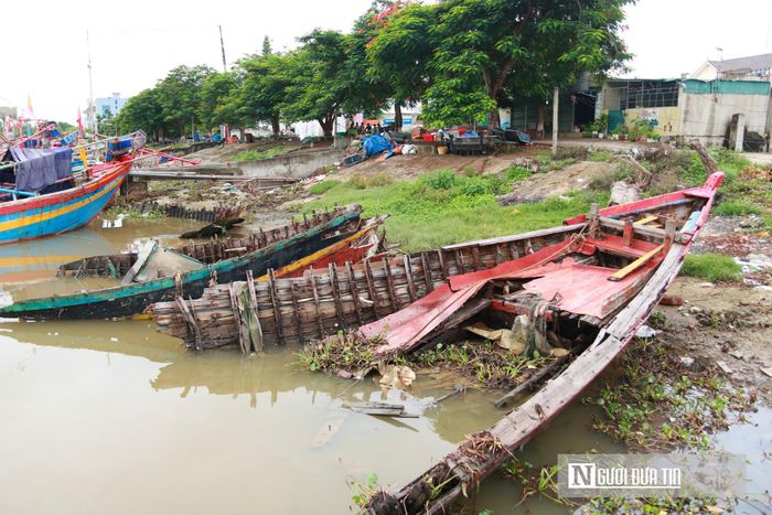 Nhiều năm nay, hàng loạt xác tàu cá hư hỏng bị bỏ mặc, "bủa vây" khu neo đậu Lạch Vạn.