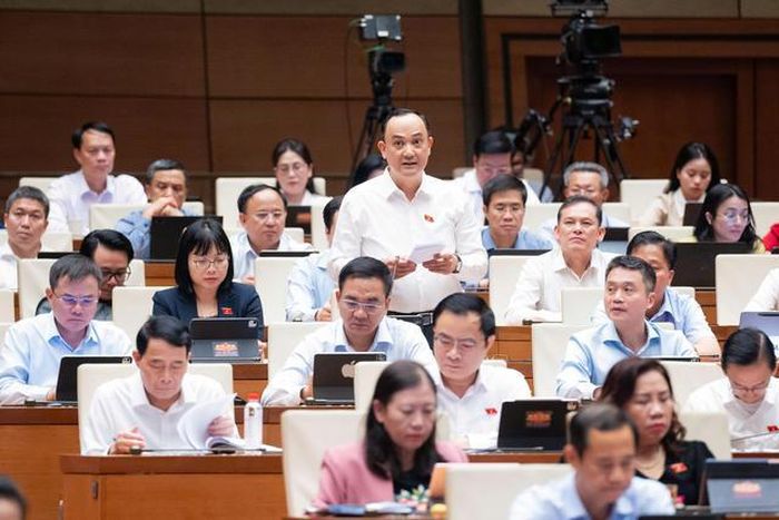 ĐBQH Nguyễn Ngọc Sơn (Ảnh: Media Quốc hội).