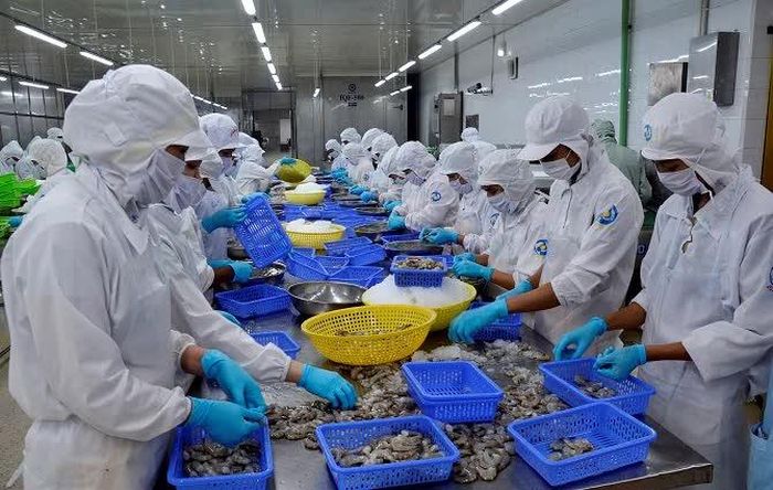Lĩnh vực chế biến thuỷ sản xuất khẩu khu vực kinh tế tư nhân phát triển mạnh tại Cà Mau.