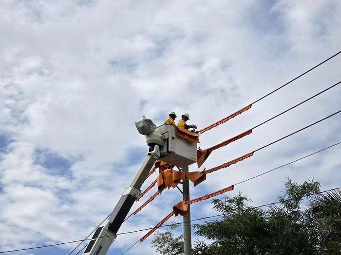 Lịch cắt điện Cần Thơ hôm nay 8/8 cập nhật mới nhất. Nguồn ảnh: PC Cần Thơ