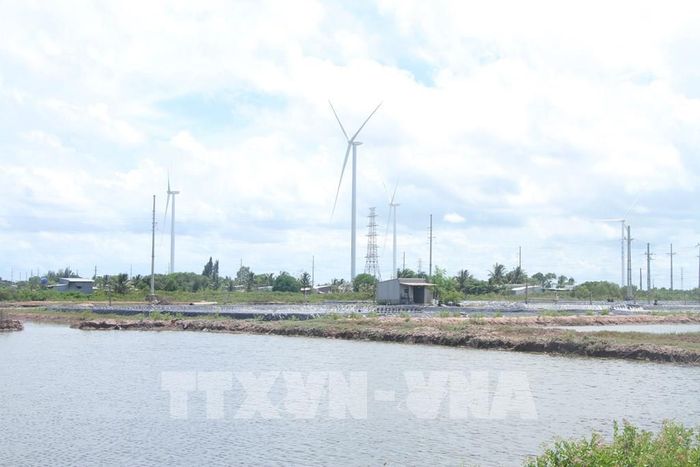 Tỉnh Cà Mau đang chủ động chuyển mạnh từ phương thức “ứng phó tình huống” sang “quản lý rủi ro chủ động”, kết hợp hài hòa giữa giải pháp công trình và phi công trình, lấy phát triển kinh tế sinh thái thuận thiên làm định hướng trọng tâm. Ảnh: Chanh Đa - TTXVN