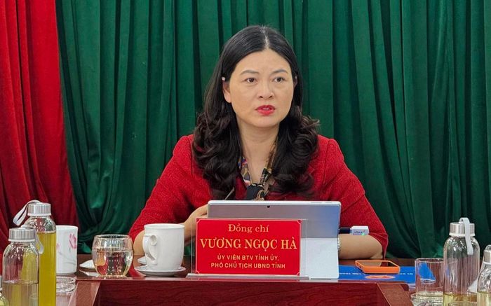 Phó Chủ tịch UBND tỉnh Tuyên Quang Vương Ngọc Hà thôi phụ trách lĩnh vực giáo dục.