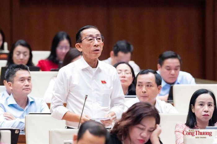 Đại biểu Trần Hoàng Ngân (đoàn ĐBQH TP. Hồ Chí Minh) cho rằng, dự án Luật Dầu khí (sửa đổi) cần thêm những chính sách ưu đãi đủ mạnh.