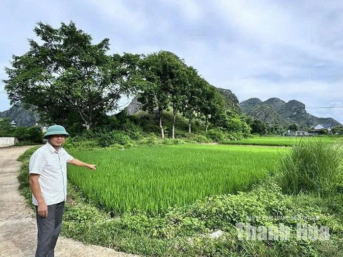 Những dãy tường thành xưa giờ gần như đã được san phẳng, chỉ còn trong sử sách và ký ức của một số người dân thôn Hoàng Sơn, xã Trung Chính.