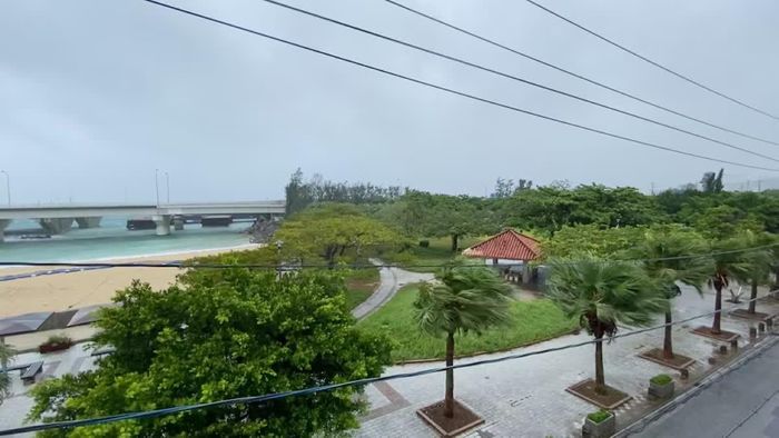 Cây cối rung lắc trong gió mạnh khi bão Dolphin quét qua thành phố Naha, tỉnh Okinawa, Nhật Bản, ngày 7/8/2026. Ảnh: Reuters.